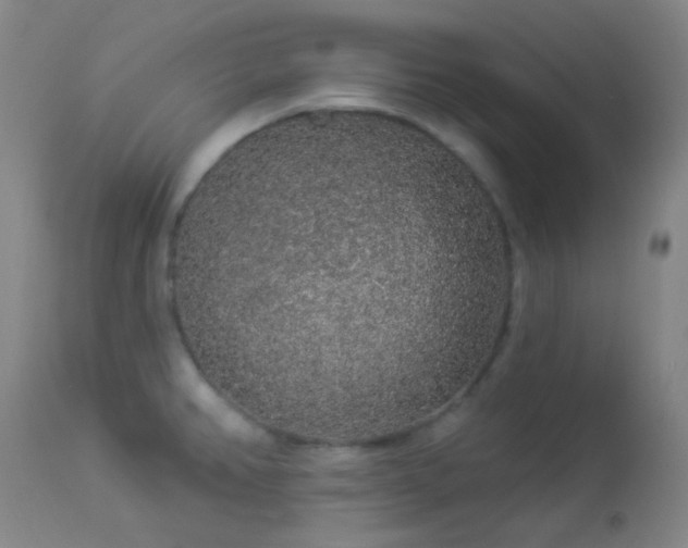 X0000114211382200910091314