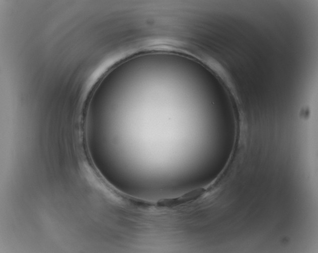 X0000114211384200910091314