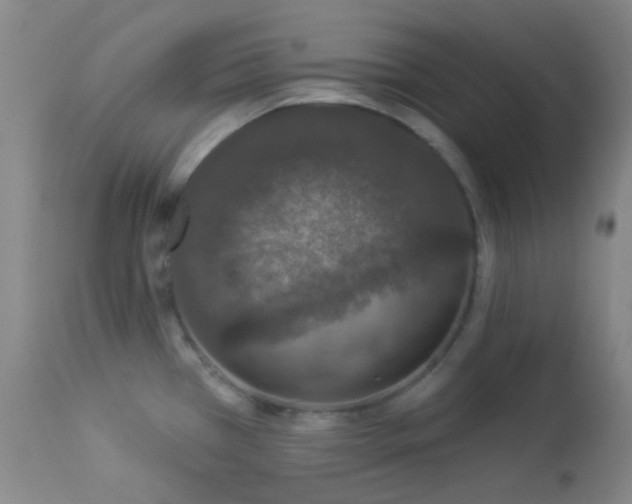 X0000114211385200910091314