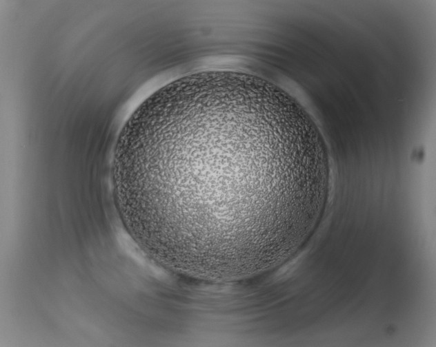X0000114211386200910091314