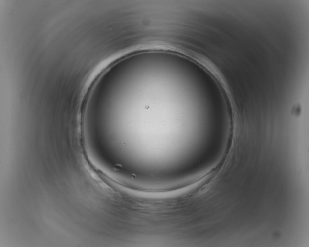 X0000114211388200910091314