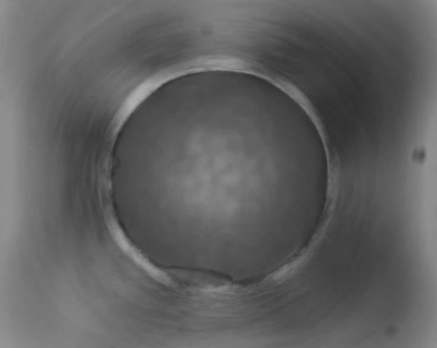 X0000114211389200910091314