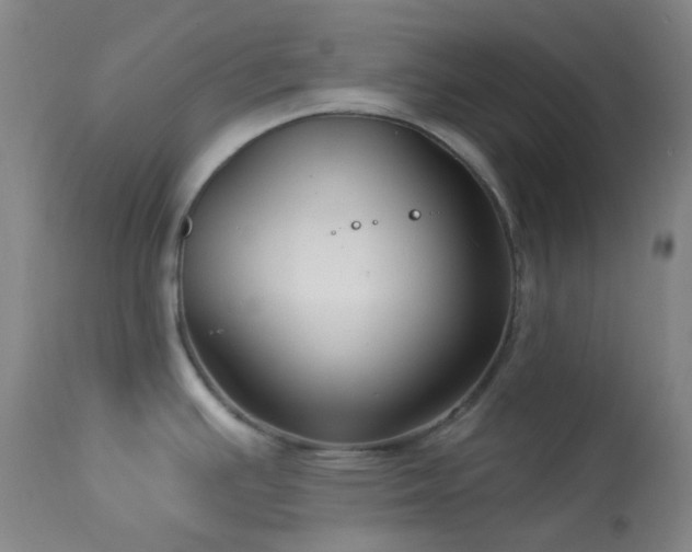 X0000114211391200910091313