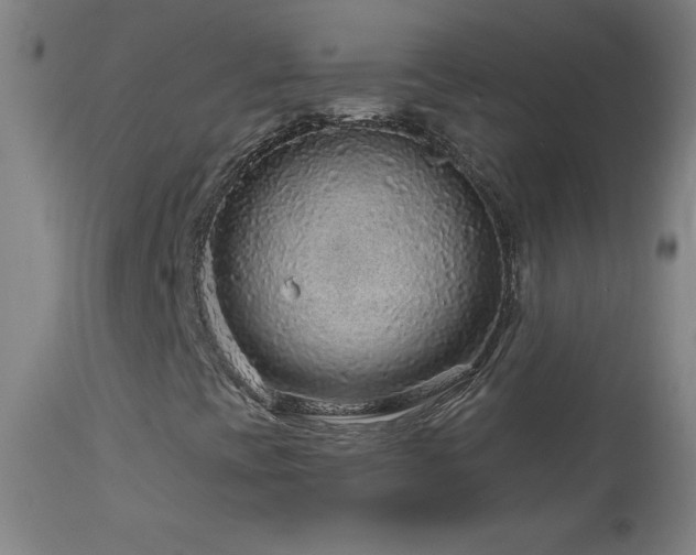 X0000114211393200910091313