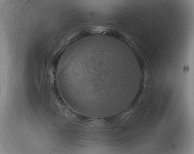 X0000114211394200910091313