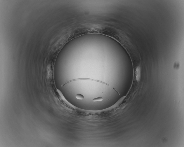 X0000114211395200910091313