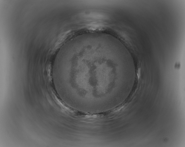 X0000114211396200910091313