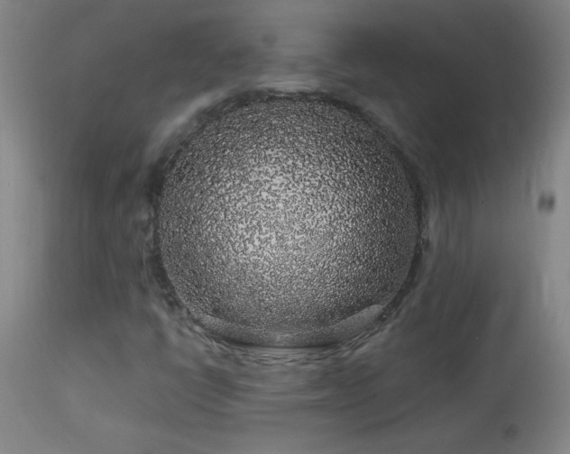 X0000114211398200910091313