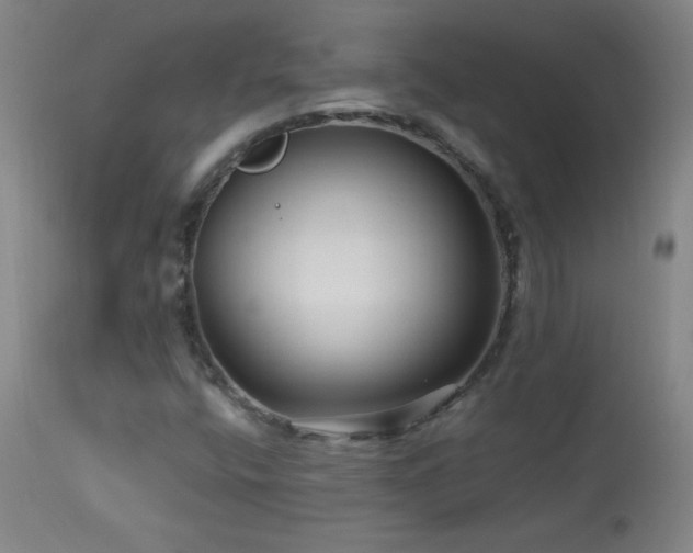 X0000114211400200910091313