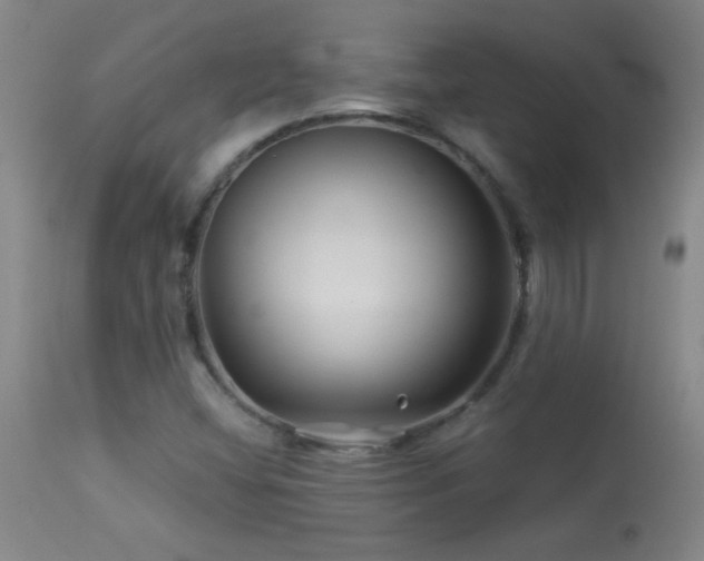 X0000114211404200910091313