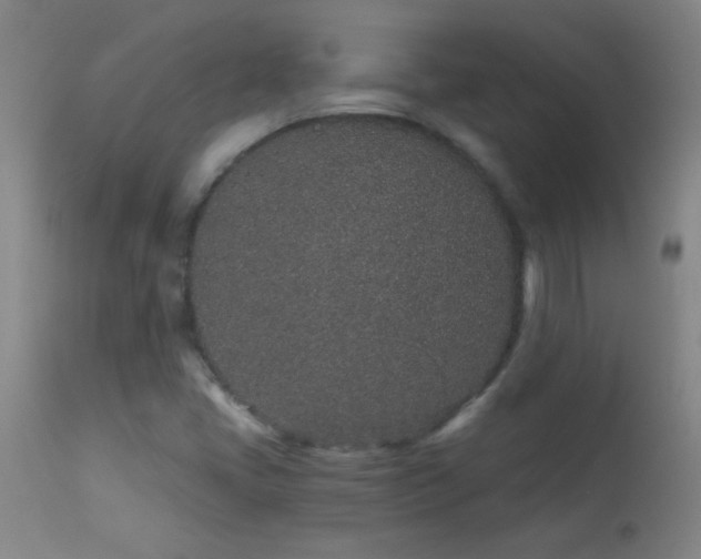 X0000114211405200910091313