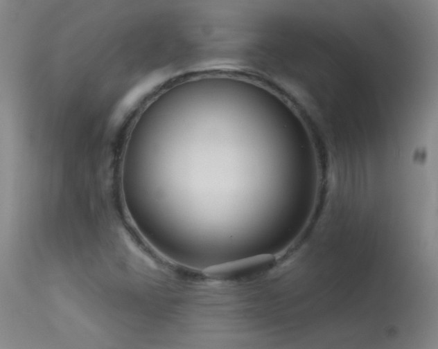 X0000114211406200910091313
