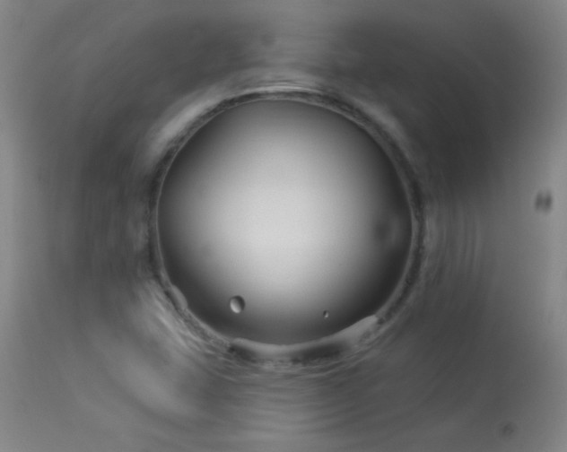 X0000114211407200910091313