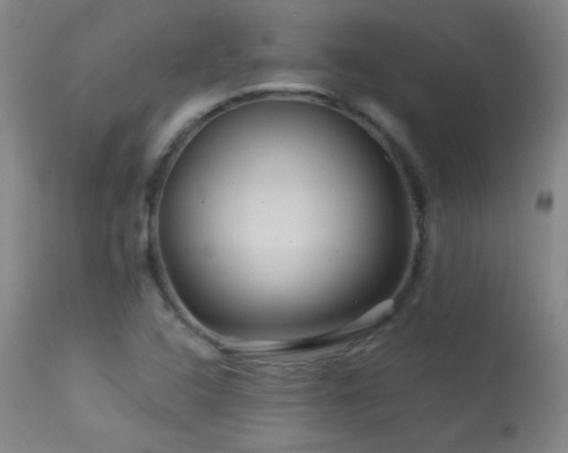 X0000114211408200910091313
