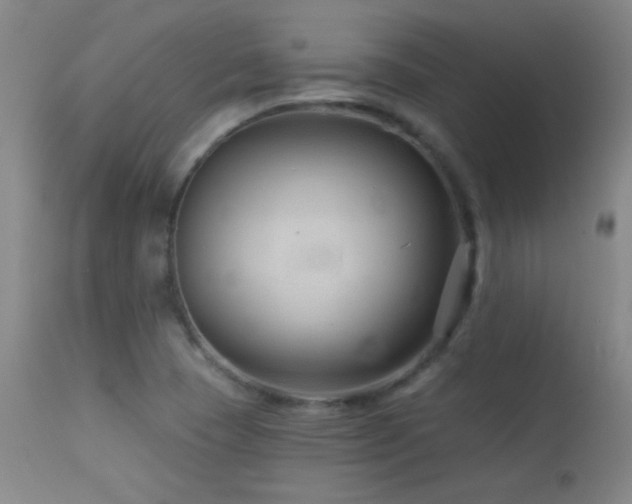 X0000114211409200910091313