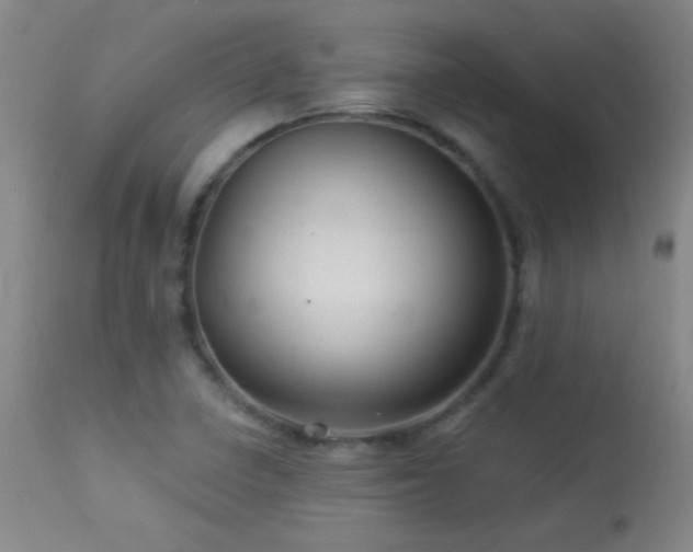 X0000114211410200910091313