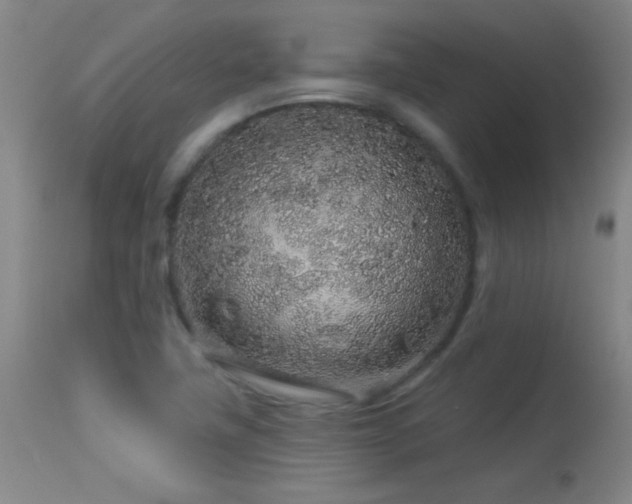 X0000114211411200910091313