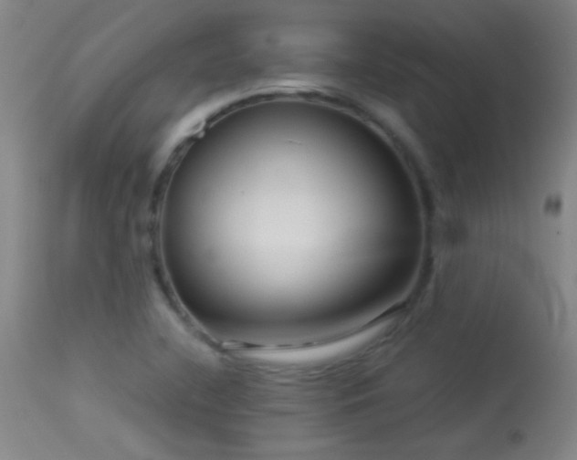 X0000114211412200910091313