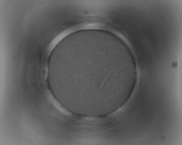 X0000114211413200910091313