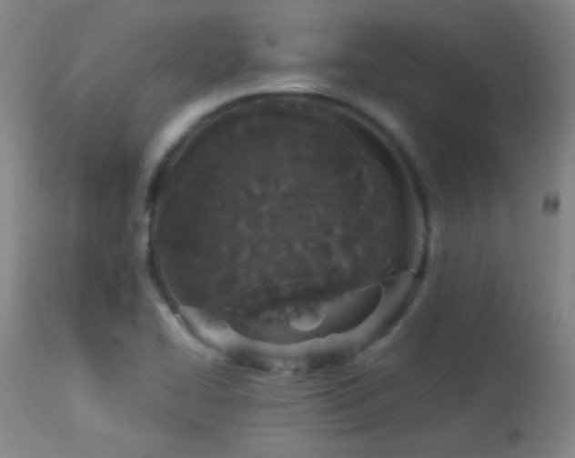 X0000114211414200910091313