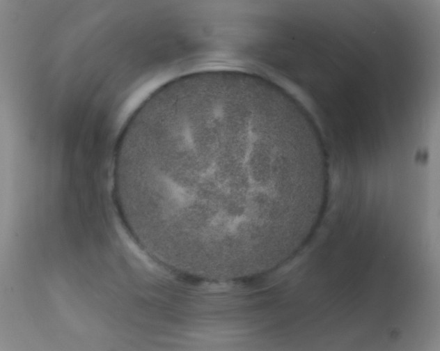 X0000114211415200910091313