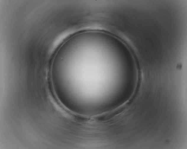 X0000114211416200910091313