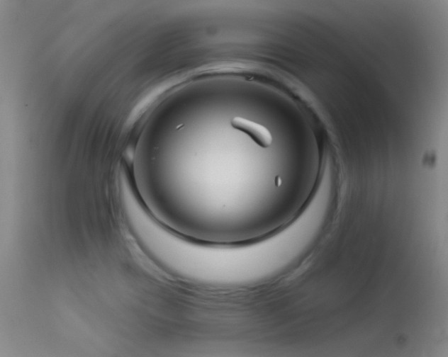 X0000114211417200910091313