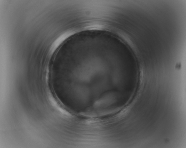X0000114211418200910091313