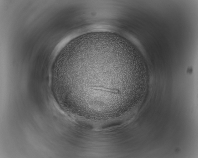X0000114211419200910091313