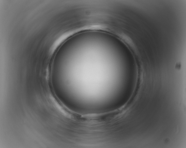 X0000114211420200910091313