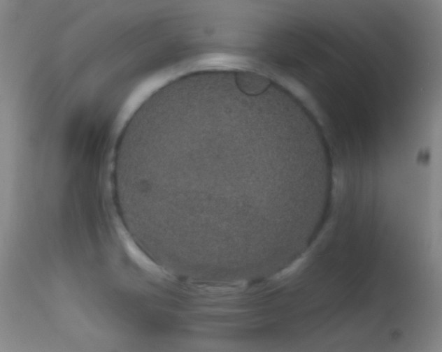 X0000114211421200910091313
