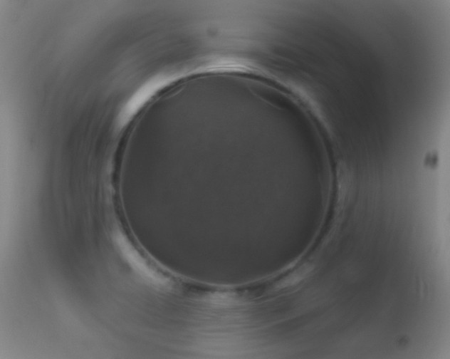 X0000114211422200910091313