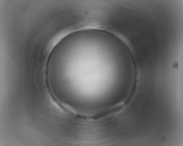 X0000114211423200910091313