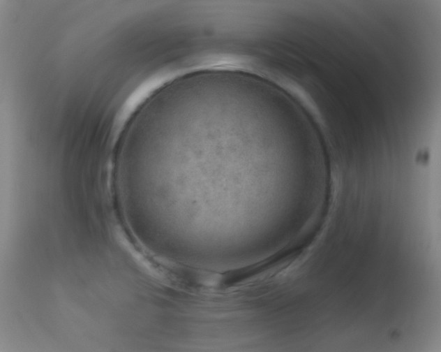 X0000114211424200910091313