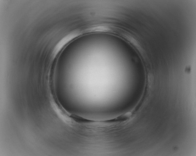 X0000114211426200910091313