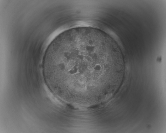 X0000114211427200910091313