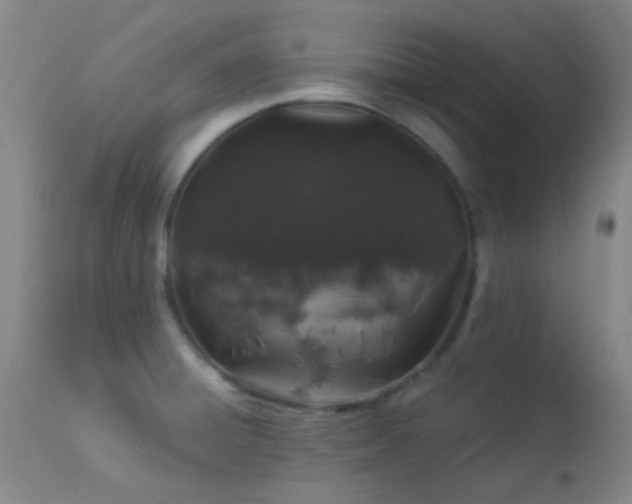 X0000114211428200910091313