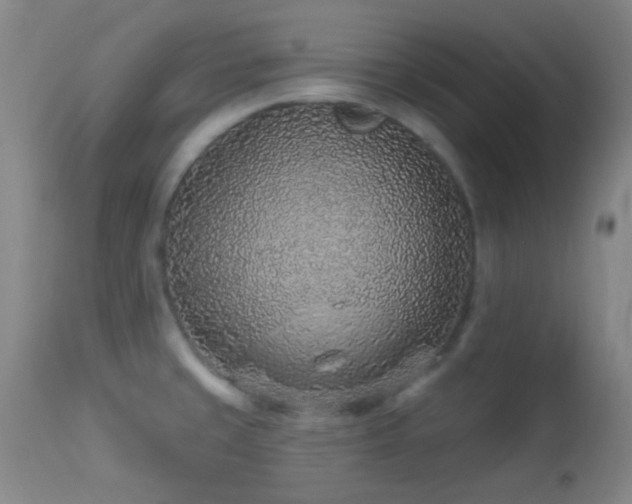 X0000114211429200910091313
