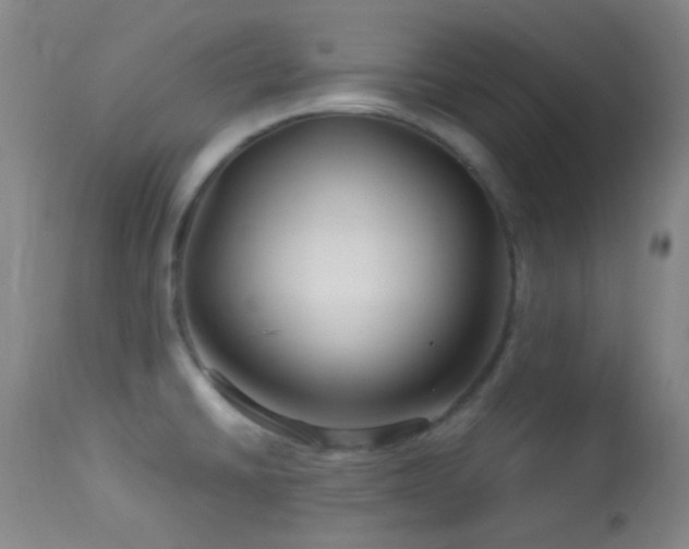 X0000114211430200910091313