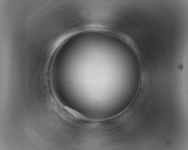 X0000114211435200910091313