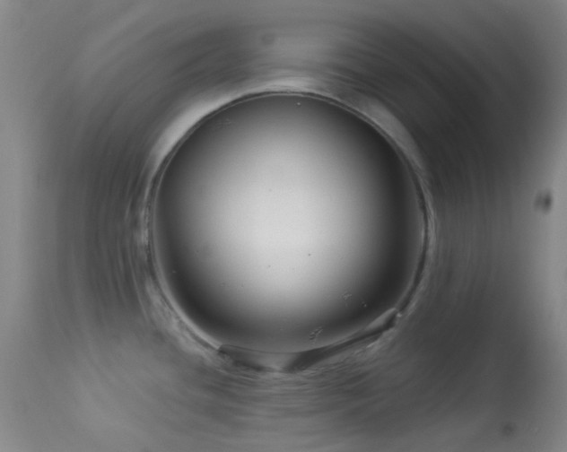 X0000114211436200910091313