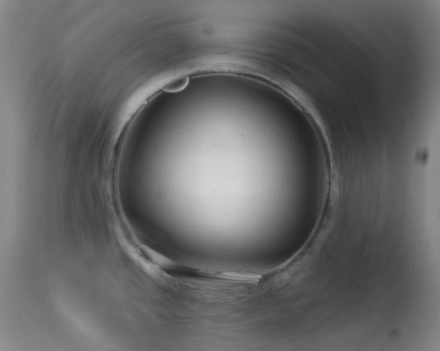 X0000114211437200910091313