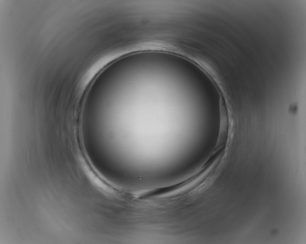 X0000114211438200910091313