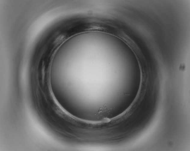 X0000114211439200910091313