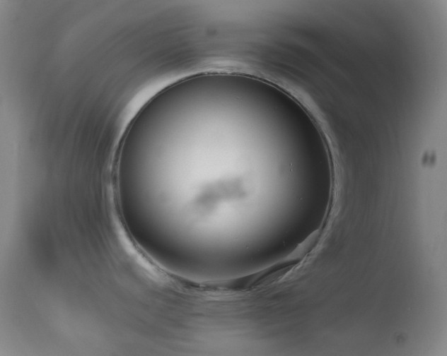 X0000114211440200910091313