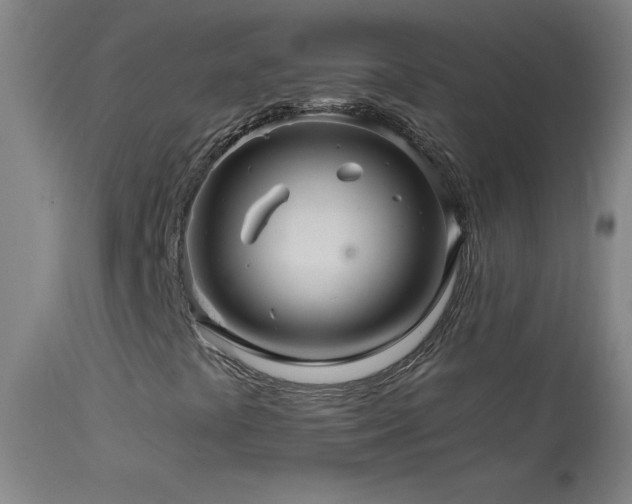 X0000114211441200910091313