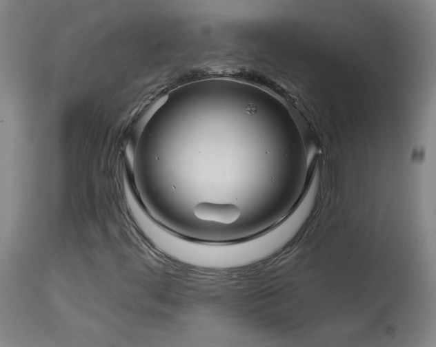 X0000114211444200910091313