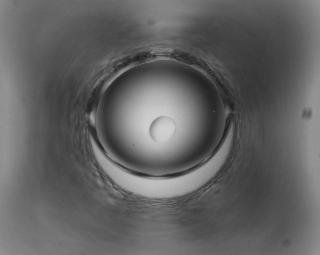 X0000114211445200910091313