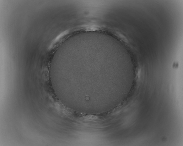 X0000114211446200910091313