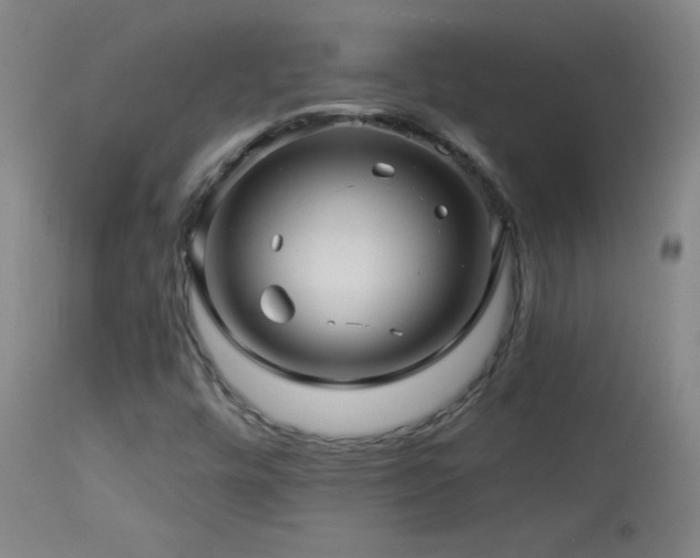 X0000114211448200910091313